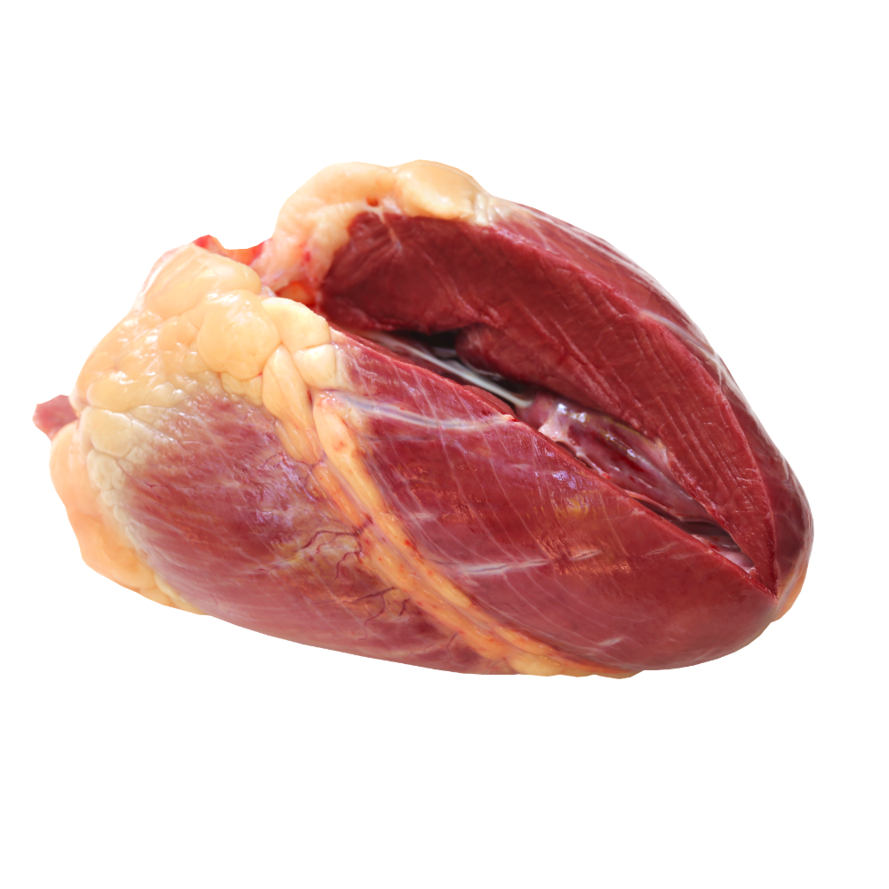 Tauriini